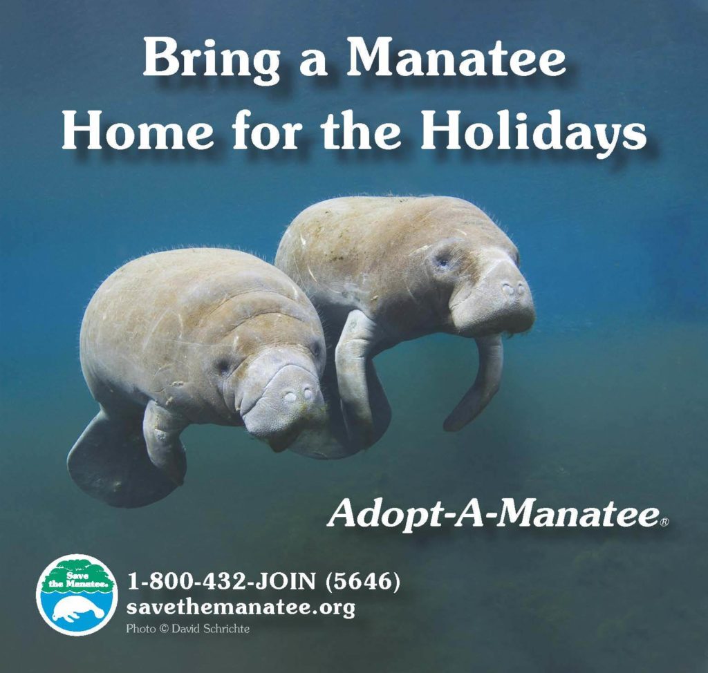 adopt a manatee