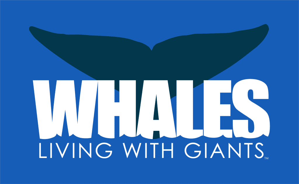 clearwater whale exhibit